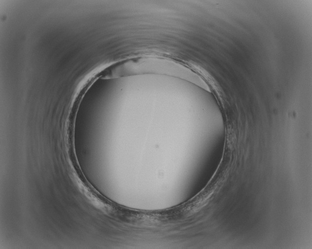 X0000083060995200702161752