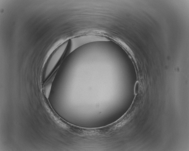 X0000083060997200702161752