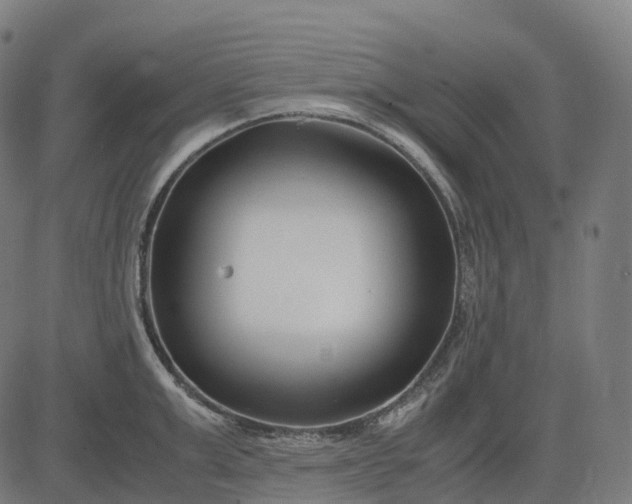 X0000083060999200702161752