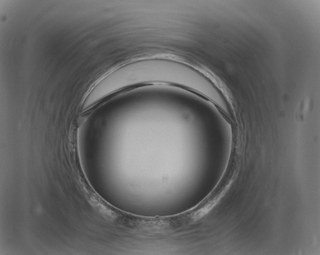 X0000083061001200702161752