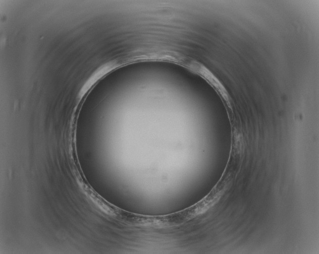 X0000083061002200702161752