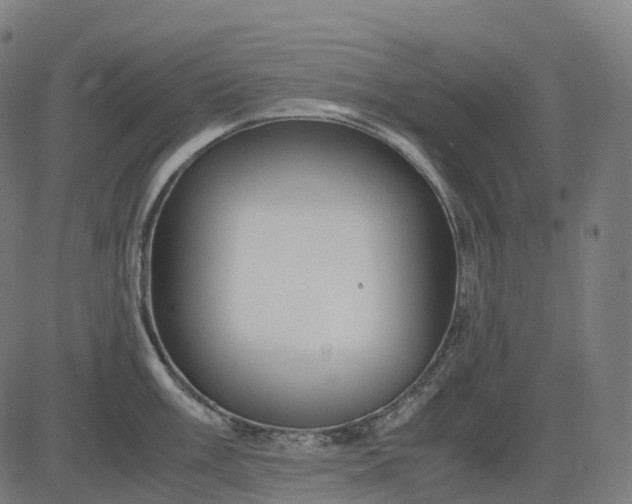 X0000083061003200702161752