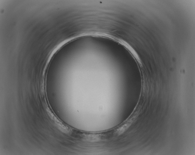 X0000083061004200702161752