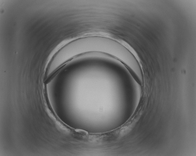 X0000083061005200702161752