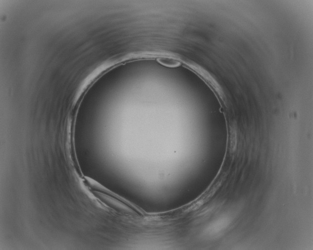 X0000083061006200702161752