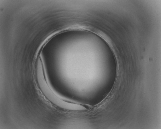 X0000083061008200702161752