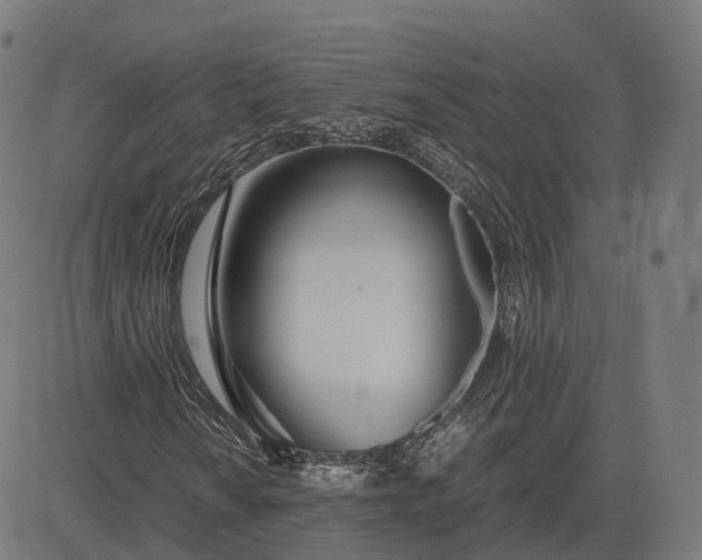 X0000083061010200702161751