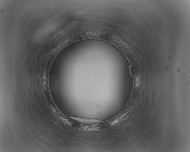 X0000083061011200702161751