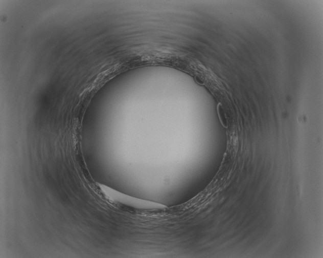 X0000083061012200702161751