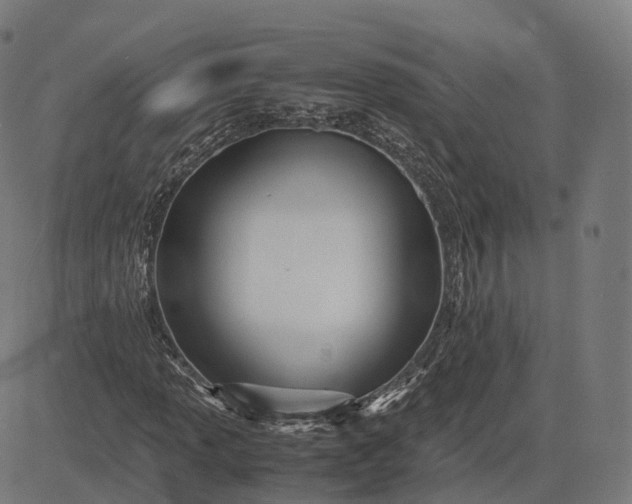 X0000083061013200702161751