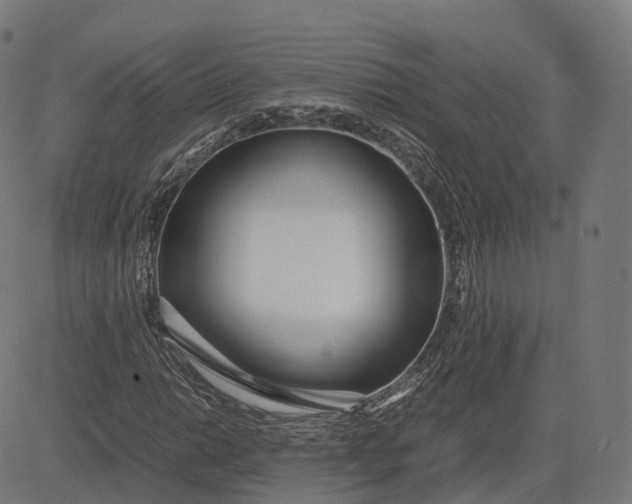 X0000083061014200702161751