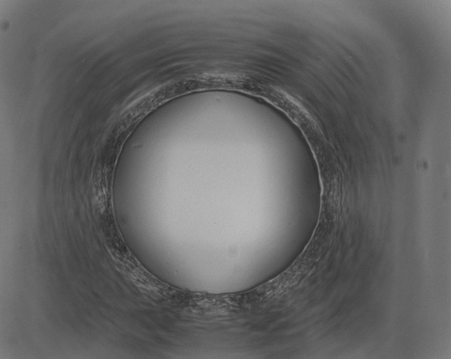 X0000083061015200702161751