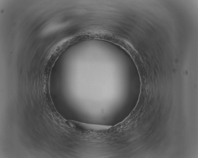 X0000083061016200702161751