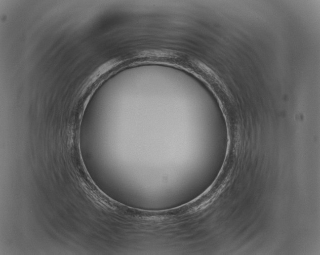 X0000083061017200702161751