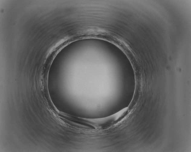 X0000083061018200702161751