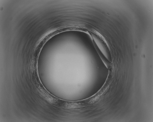 X0000083061019200702161751