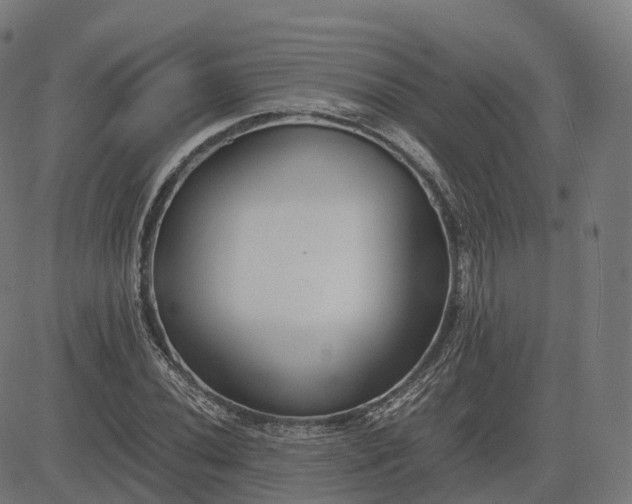 X0000083061020200702161751