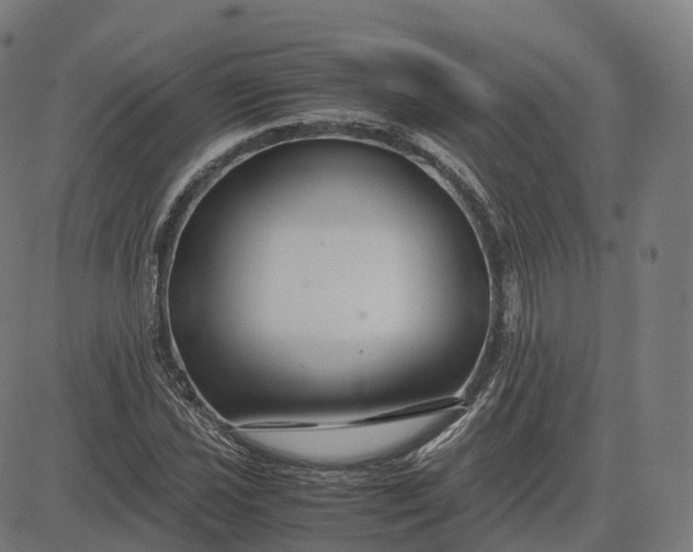 X0000083061021200702161751