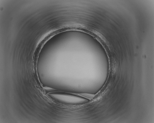 X0000083061022200702161751