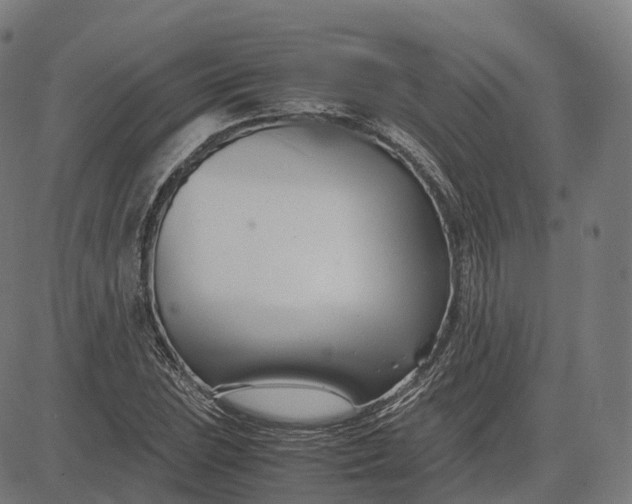 X0000083061023200702161751