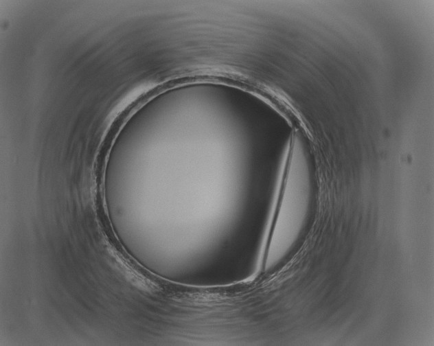 X0000083061024200702161751