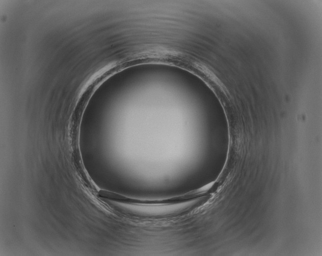 X0000083061026200702161751