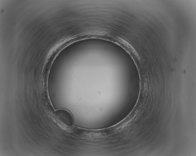 X0000083061027200702161751