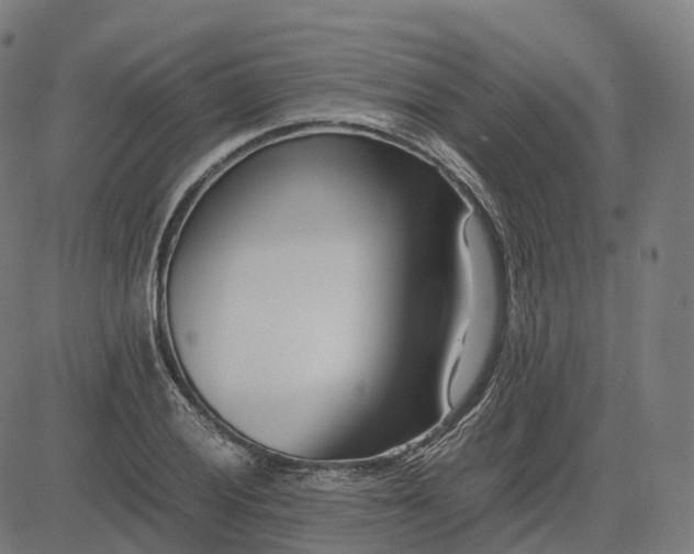 X0000083061028200702161751