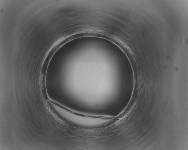 X0000083061029200702161751