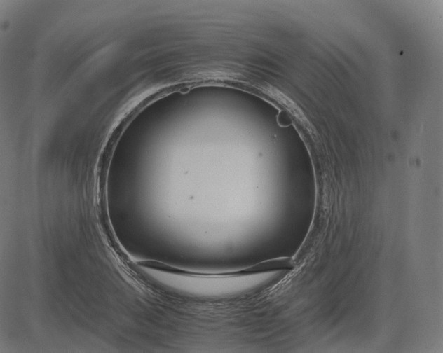 X0000083061031200702161751