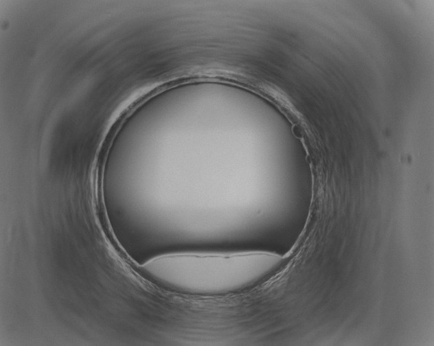 X0000083061032200702161751