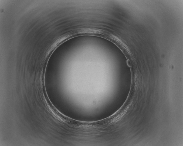 X0000083061033200702161751