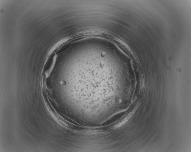 X0000083061034200702161751