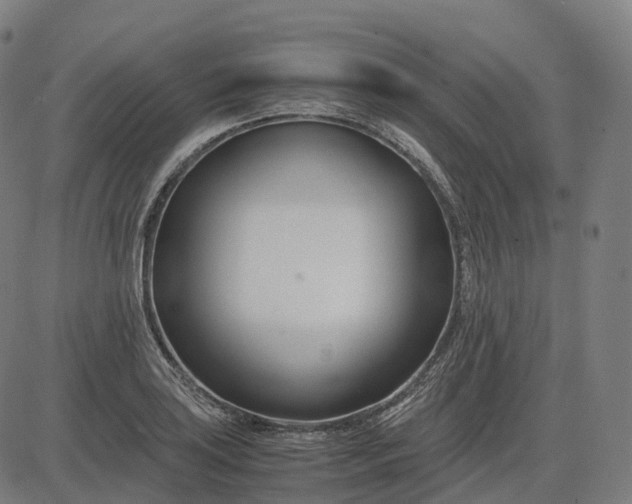 X0000083061035200702161751