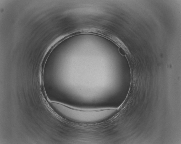 X0000083061036200702161751