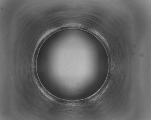 X0000083061037200702161751