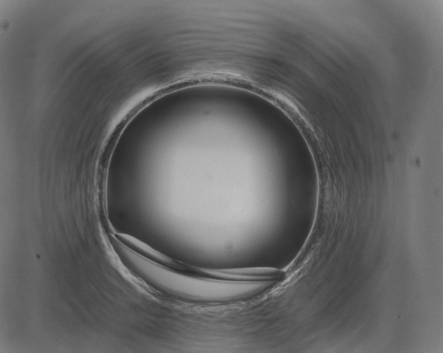 X0000083061038200702161751