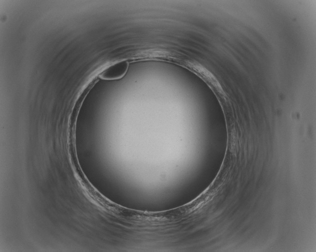 X0000083061039200702161751