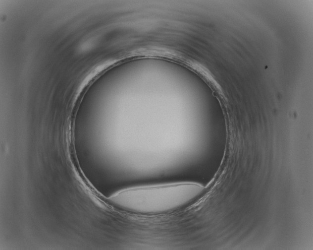 X0000083061040200702161751