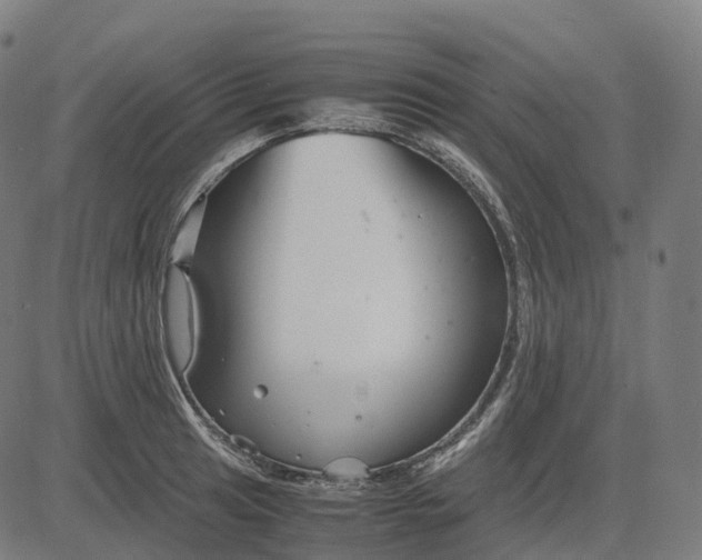 X0000083061041200702161751