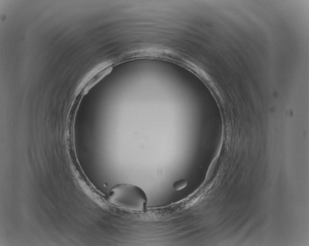 X0000083061042200702161751