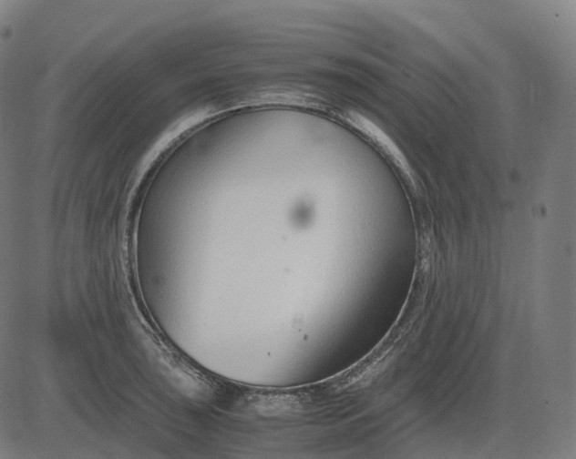 X0000083061043200702161751