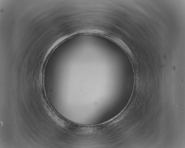 X0000083061044200702161751