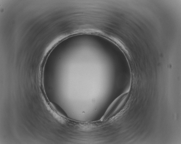 X0000083061046200702161751