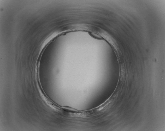 X0000083061047200702161751