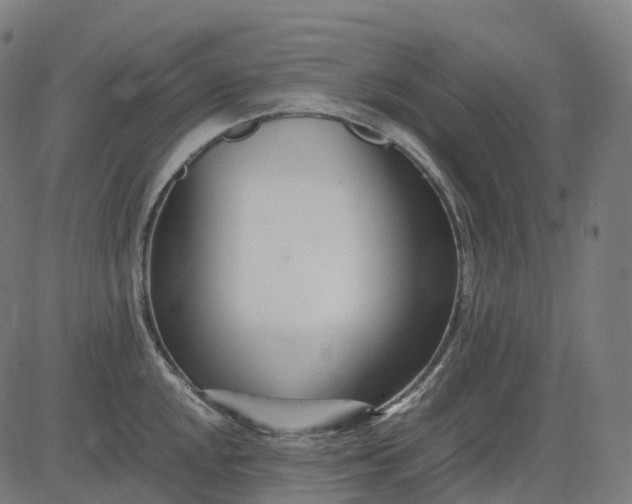 X0000083061048200702161751