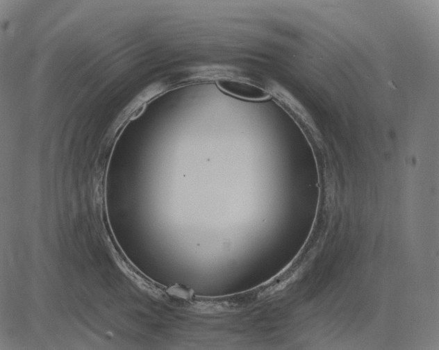 X0000083061049200702161751