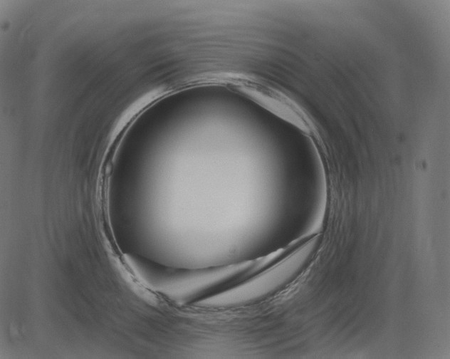 X0000083061050200702161752