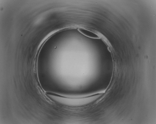 X0000083061052200702161752