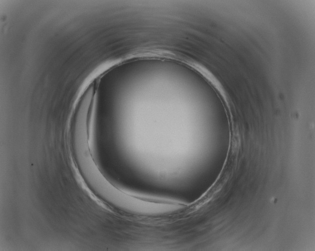 X0000083061053200702161752